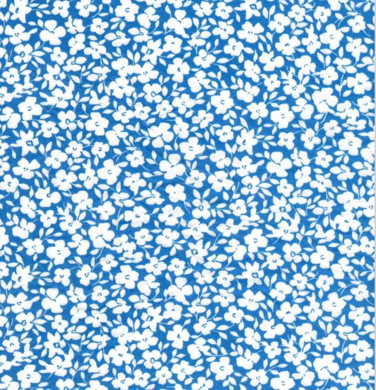 1 Yard Ditsy Floral DTY Brushed Knit Fabric Soft Stretch Polyester Spandex 58/60 Inches Wide